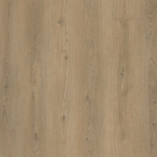 Robina羅賓-直角系列AB312薰衣草